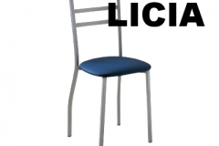 SER-LICIA